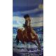 Полотенце пляжное "HORSE&SEA" Турция 75х150