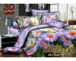 Постельное белье "XHY R856"  