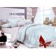 Постельное белье Satin "BeautifulDay" S-134с компаньоном